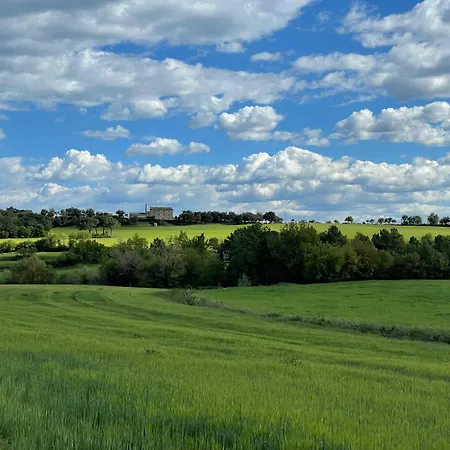 El Porxet Naves (Catalonia)